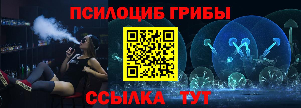 Хасавюрт  Галлюциногенные грибы прущие грибы  Вход с VPN 